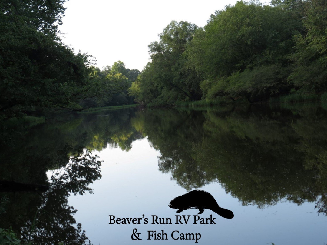 Beaver's Run RV Park & Fish Camp