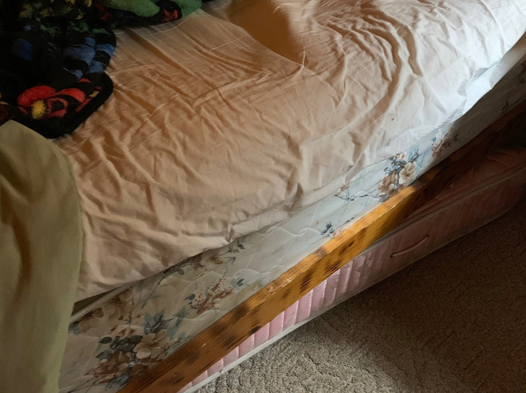 Log Cabin Cafe & Bed & Breakfast主图