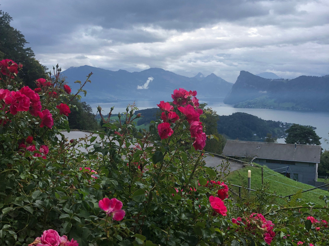 Gasthaus Schwendelberg Luzern-Horw主图