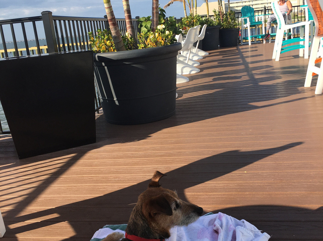 Aloft Ocean City主图