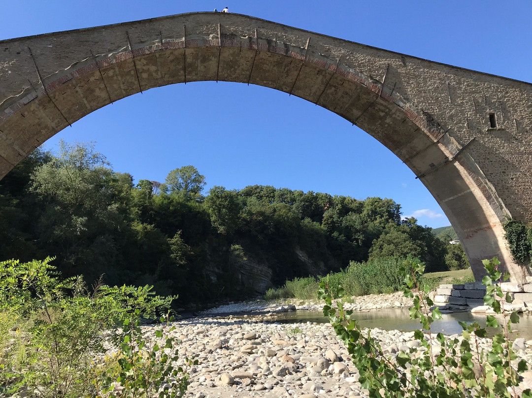 Ponte Alidosi (ponte rinascimentale a Schiena d'Asino)景点图片