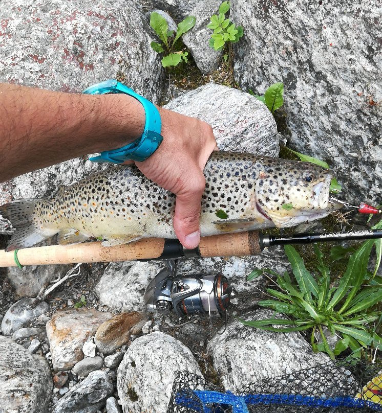 Riserva di Pesca Turistica del Torrente Forzo-Quandin必去景点