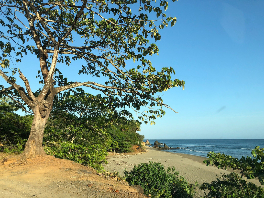 Playa Los Destiladeros景点图片