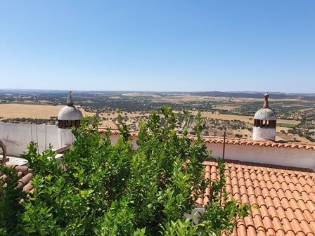 平托旅馆（仅限成人）主图