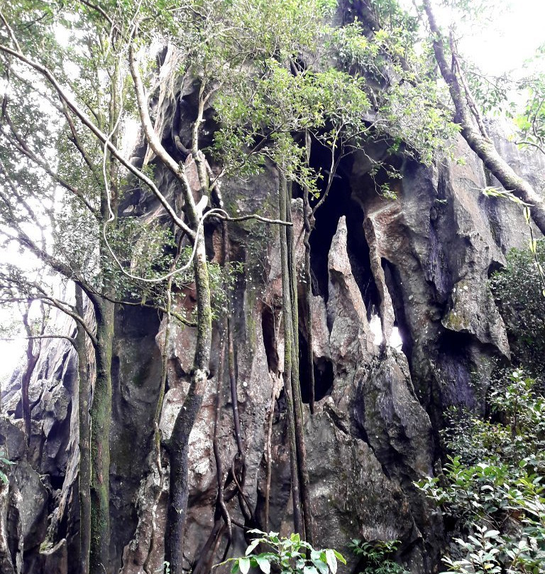 Igbaclag Cave-圣雷米希奥必去景点