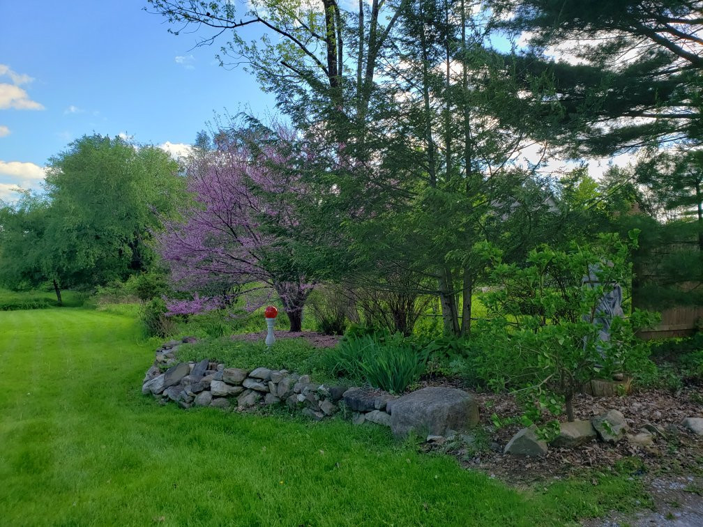 Saratoga Farmstead B&B主图