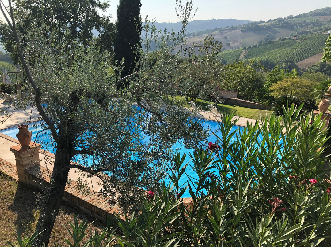 Agriturismo La Campana主图