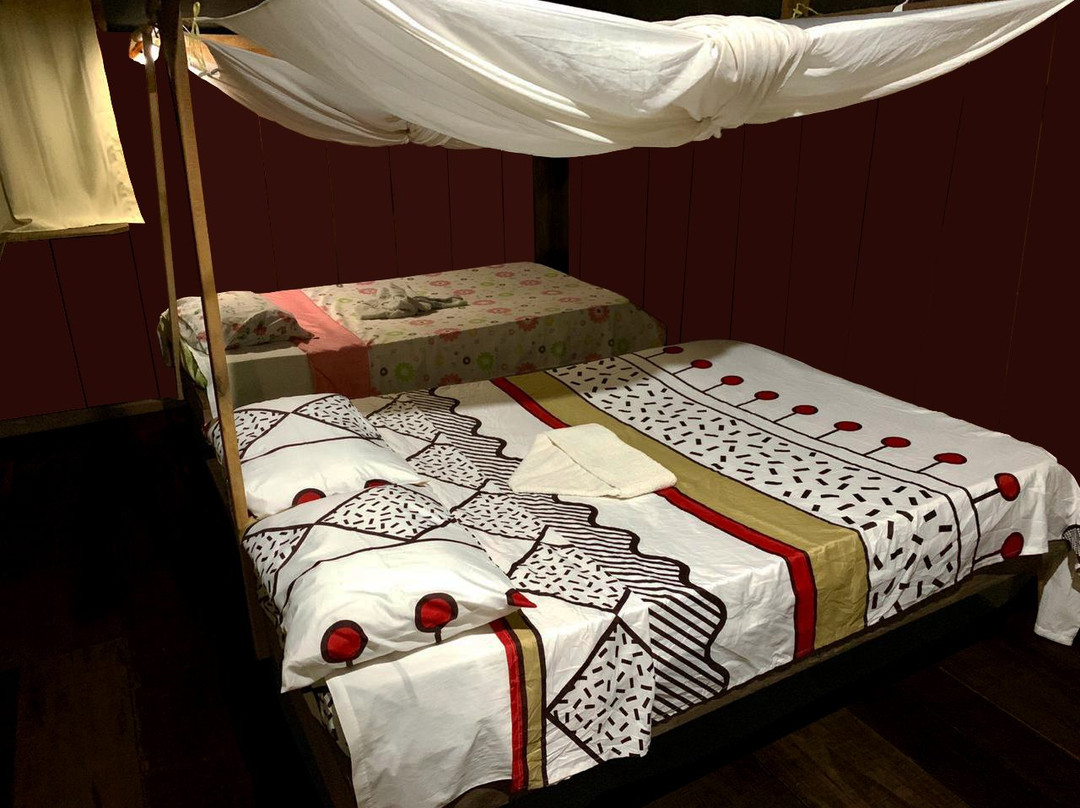 Yacumama Lodge & Excursions主图