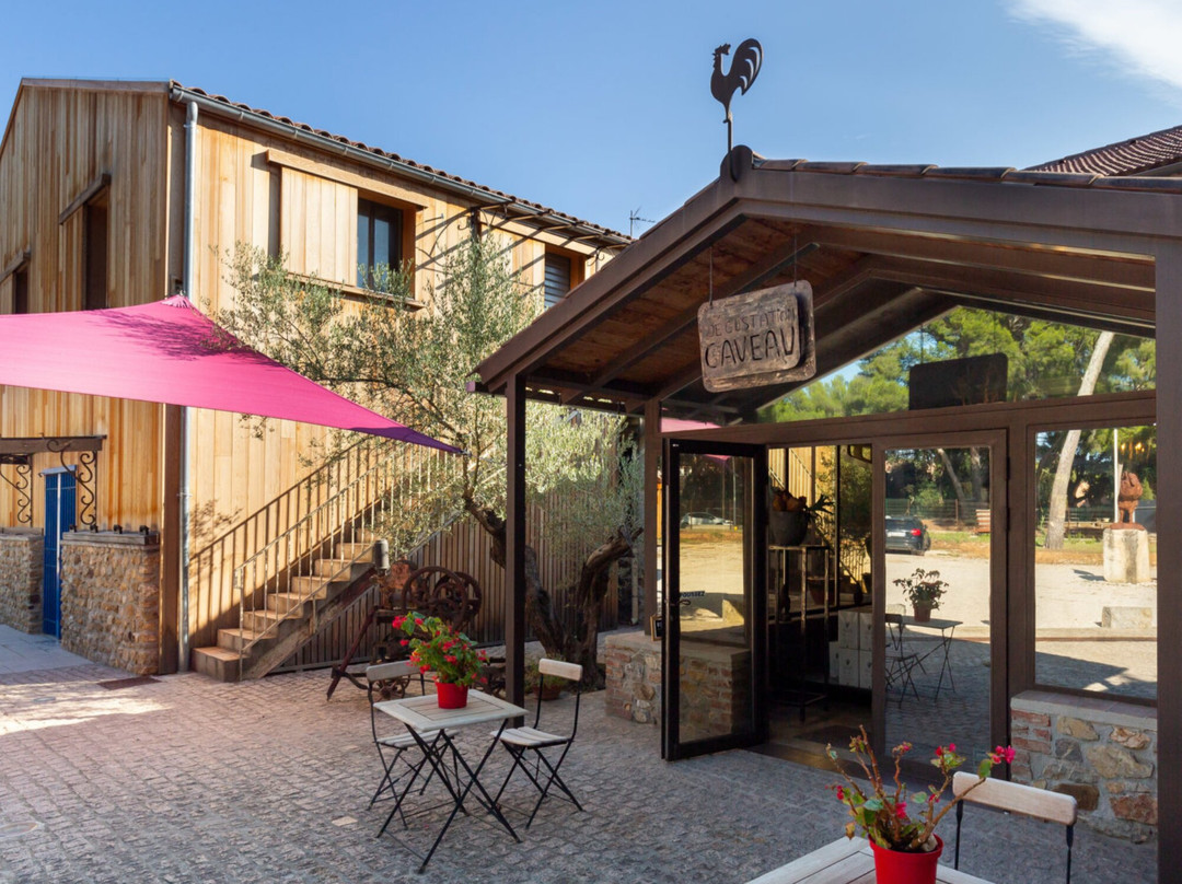 Domaine Château Vert