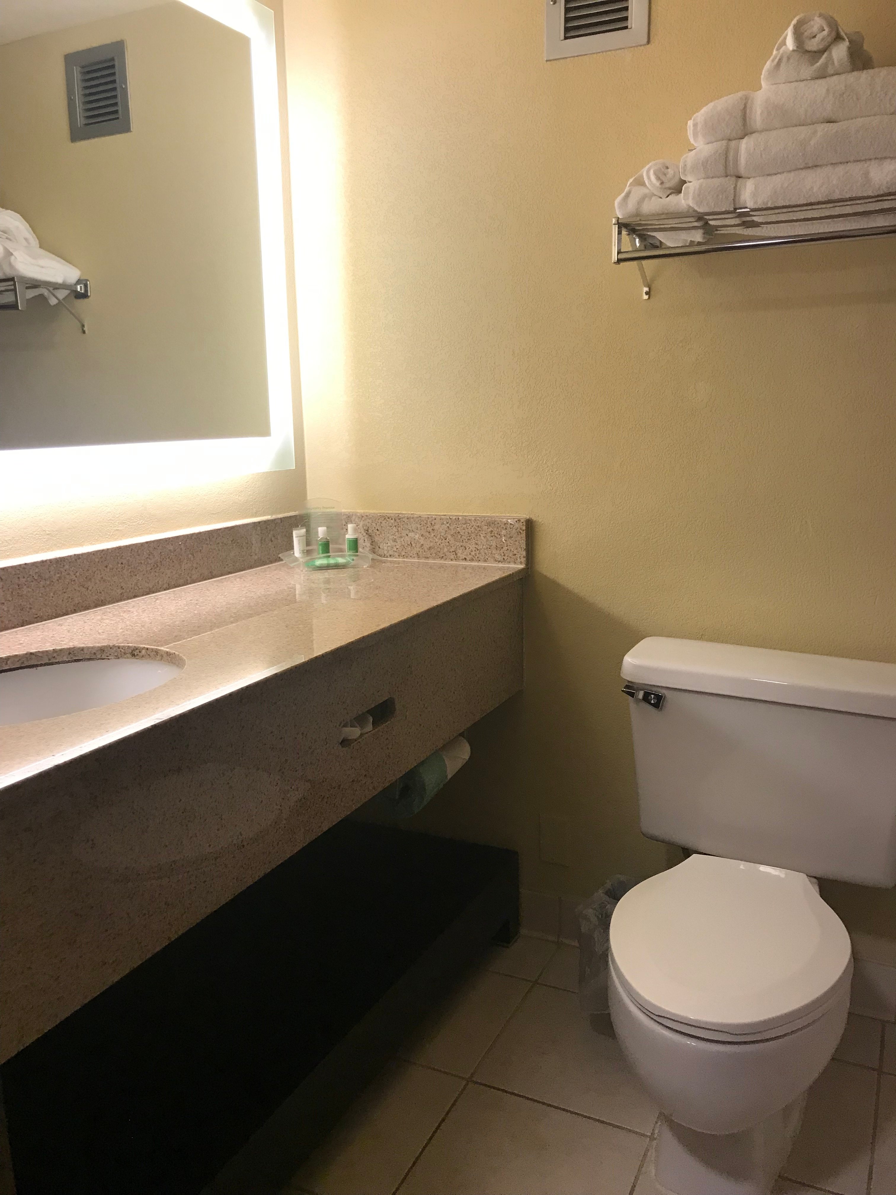 Holiday Inn Morgantown - Reading Area By IHG-浴室