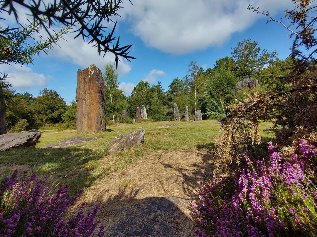 Menhirs De Monteneuf景点图片