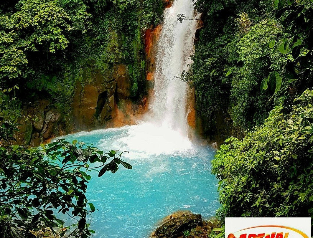 Mistico Arenal Hanging Bridges Park景点图片