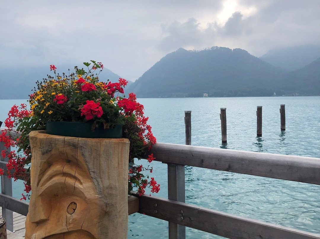 Galerie "Kunst am Klimtplatz"-阿特湖畔翁特拉赫必去景点