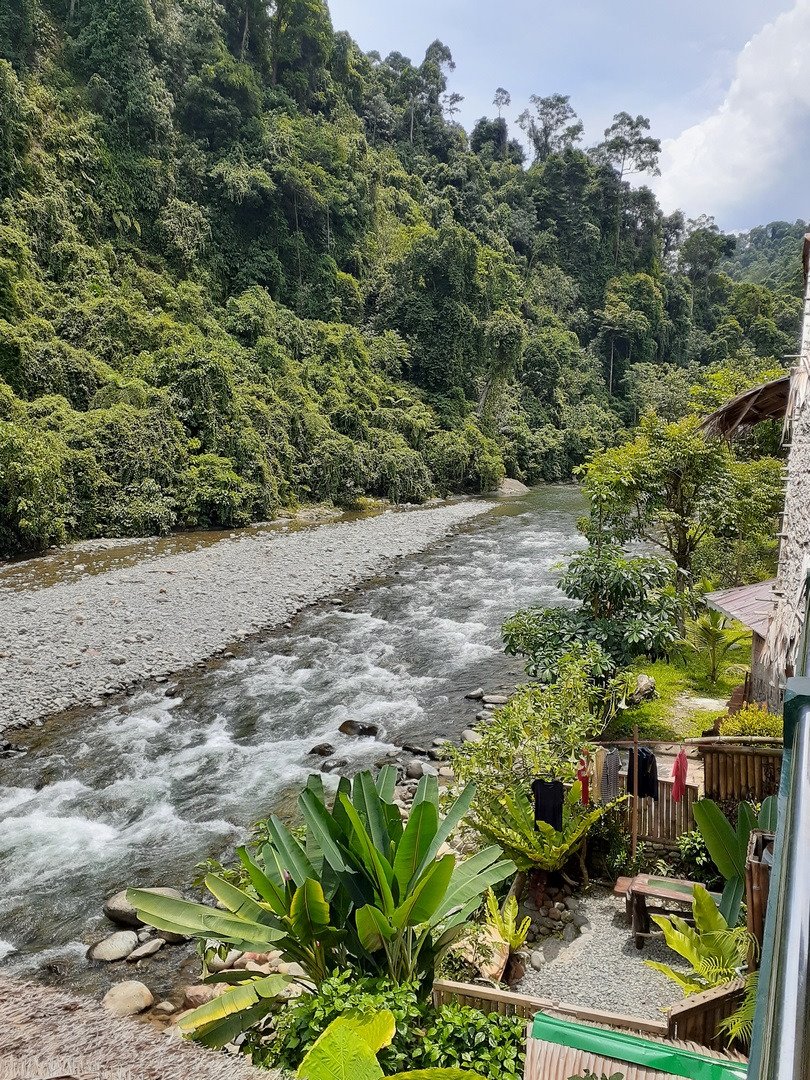 Indra Valley Inn Bukit Lawang-酒店景观