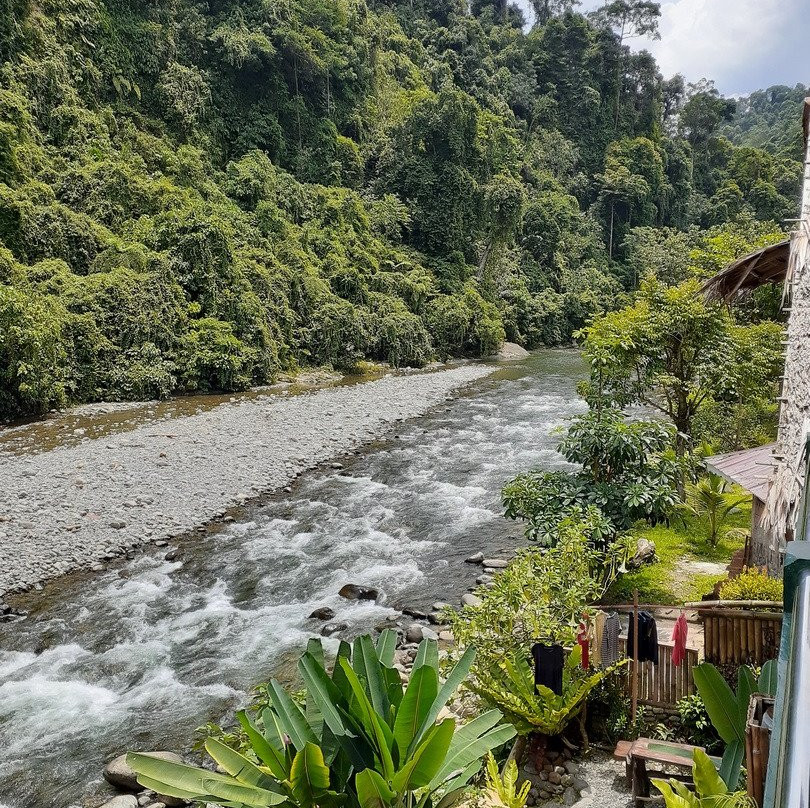 Indra Valley Inn Bukit Lawang主图
