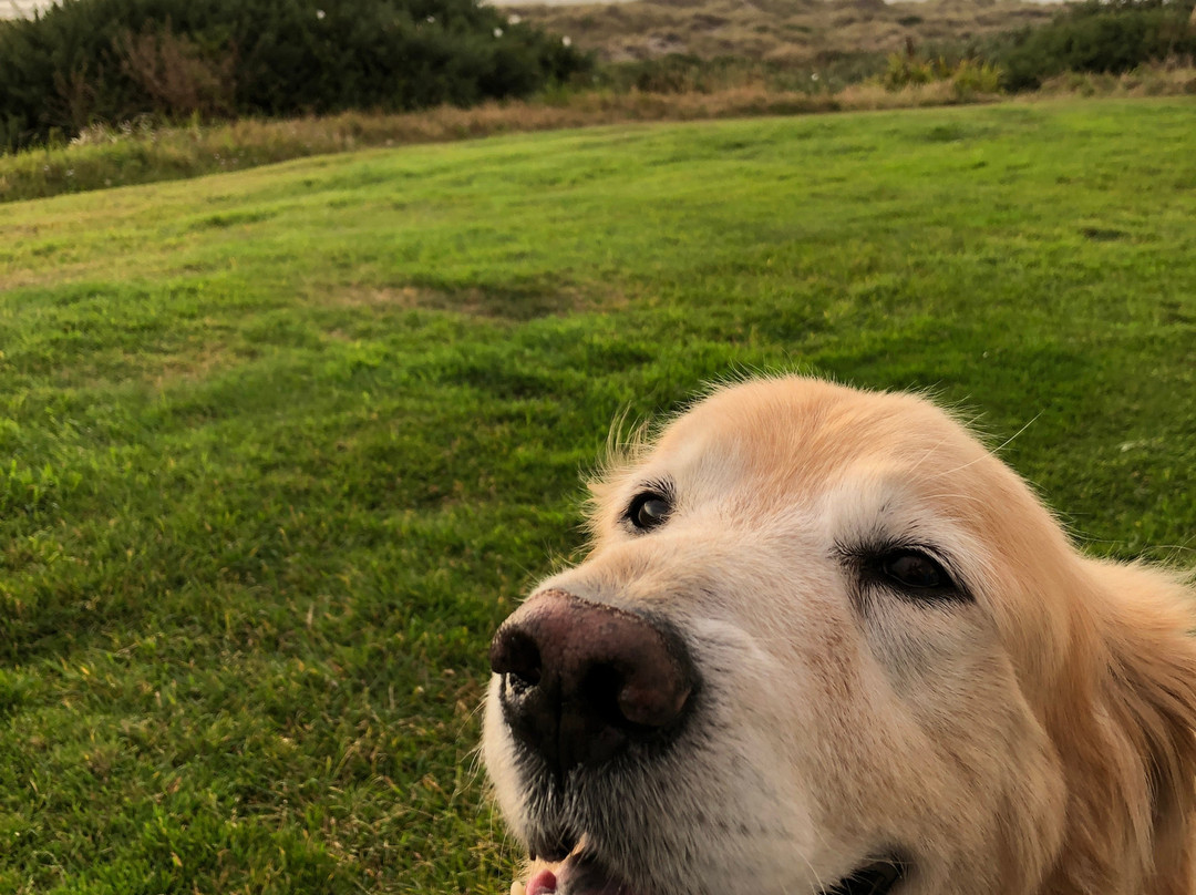 Windermere on the Beach主图