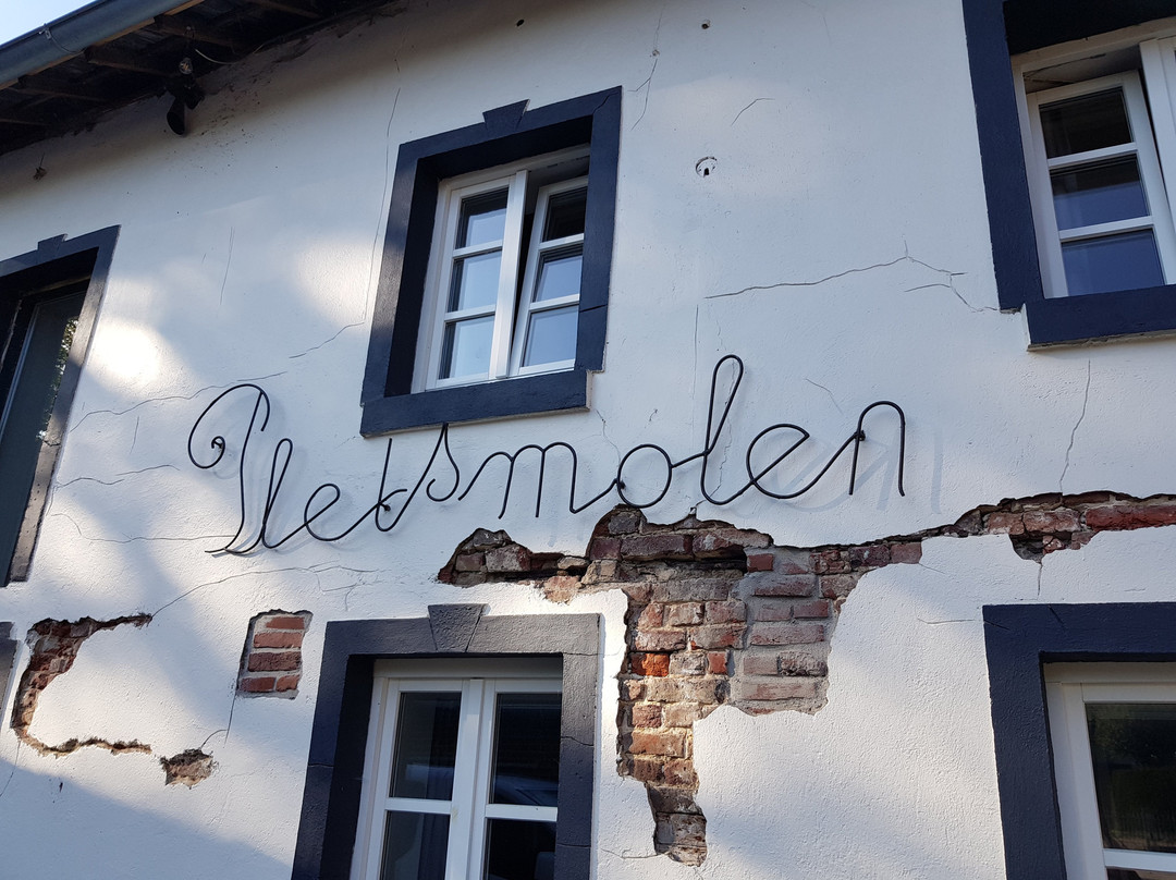 Brasserie/B&B De Pletsmolen主图