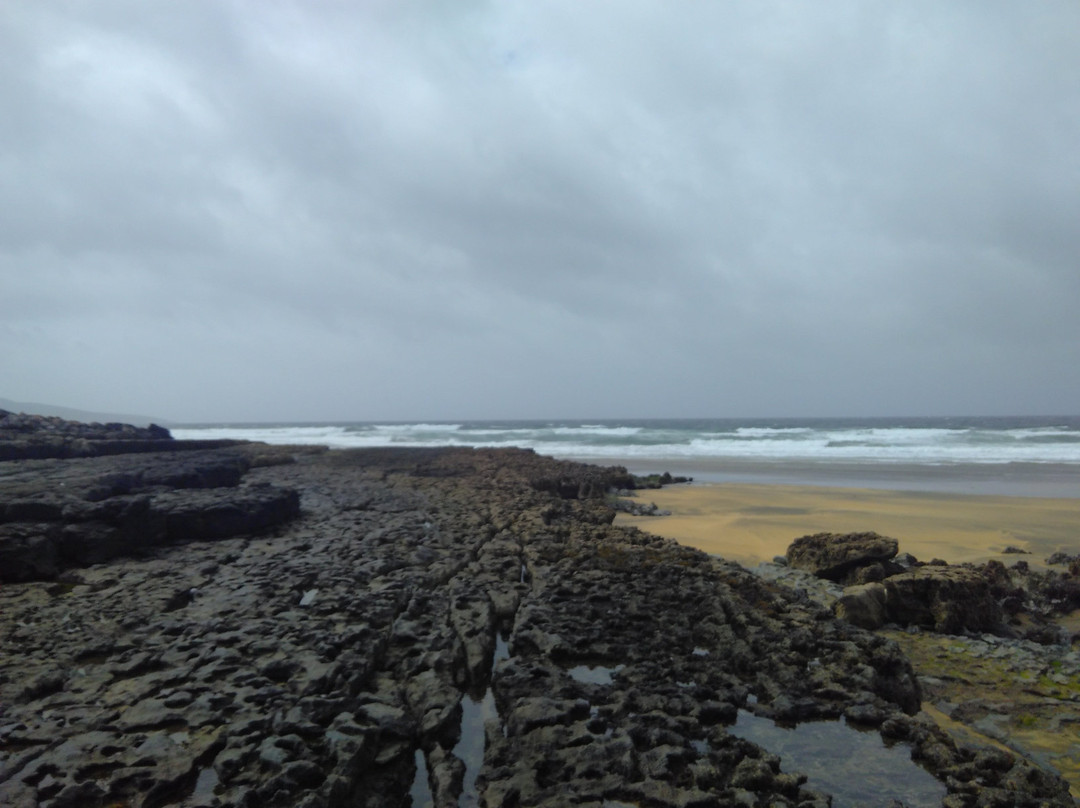 Orchid House Bed & Breakfast主图