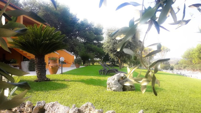 地中海的太阳主图