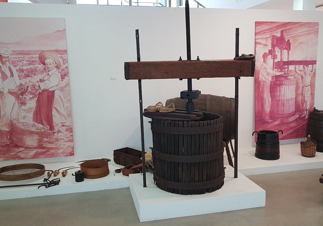 Museo Fuente Alamo-Fuente Alamo必去景点