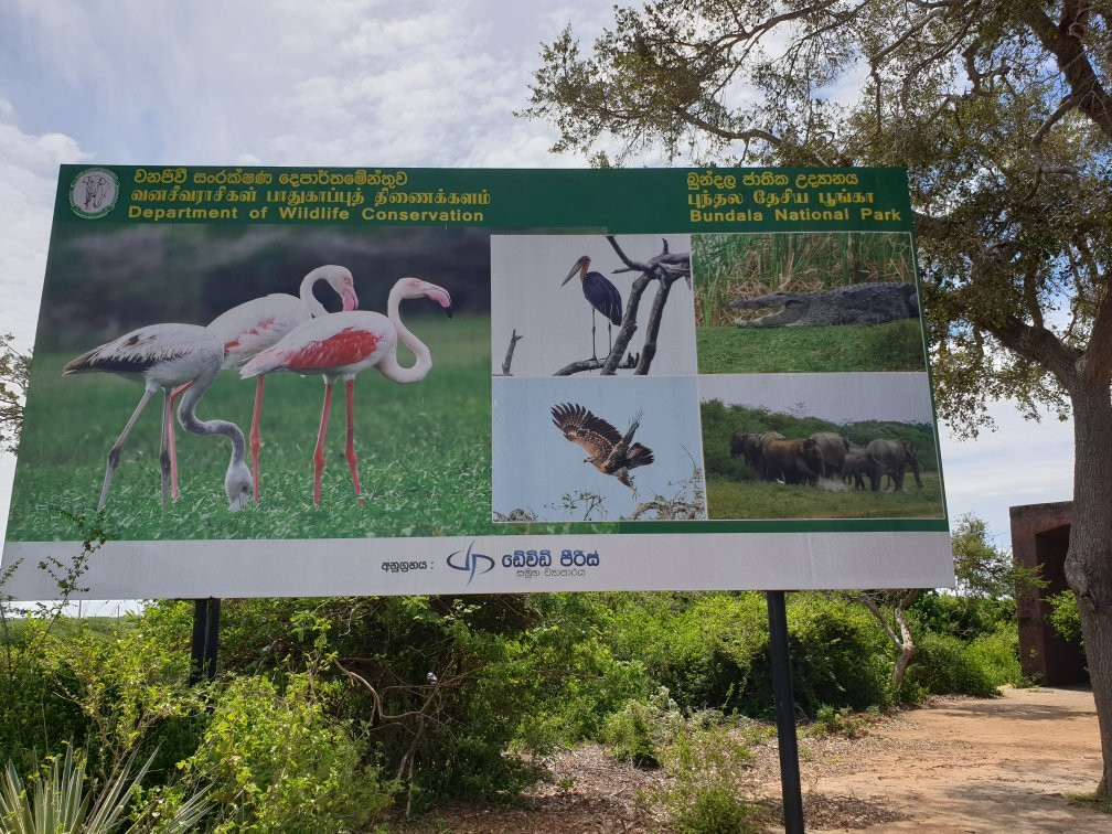 Bundala National Park景点图片