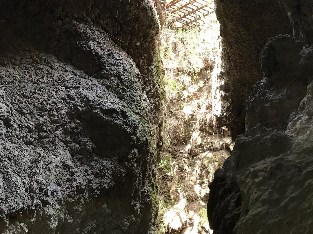 Cueva del Viento景点图片