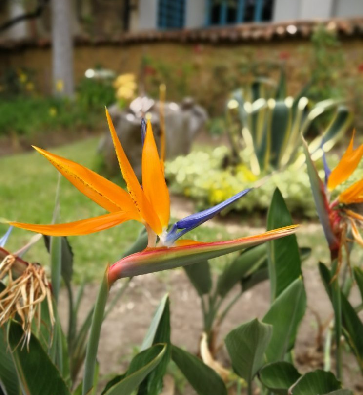 Casa Museo Capitán Antonio Ricaurte-莱瓦镇必去景点