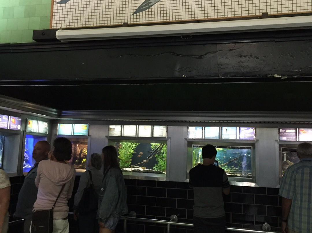 Belle Isle Aquarium-底特律必去景点