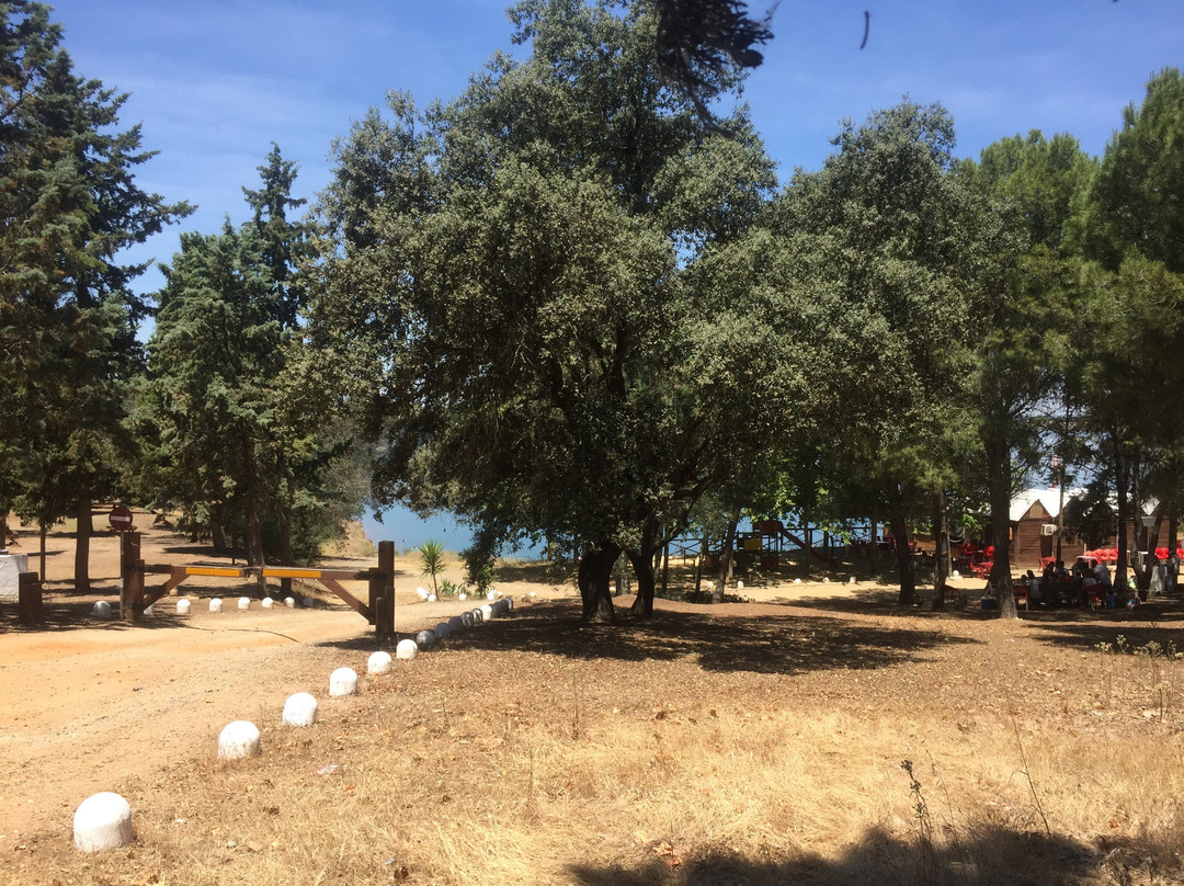 Barragem de Odivelas-Ferreira do Alentejo必去景点