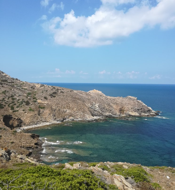 Mare & Natura - Tour Parco dell'Asinara-斯廷蒂诺必去景点