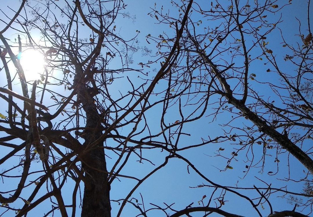 Cacaban Dam景点图片