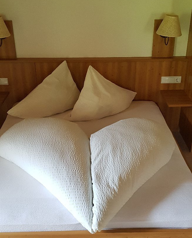 Hotel Gsieserhof主图