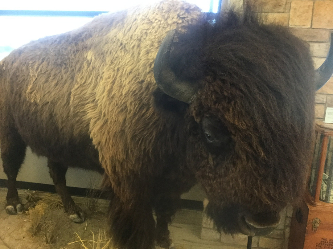 Buffalo Bill Cultural Center-Oakley必去景点