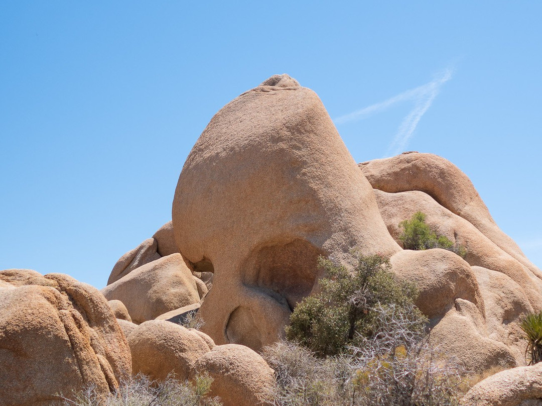 Skull Rock-约书亚树国家公园必去景点