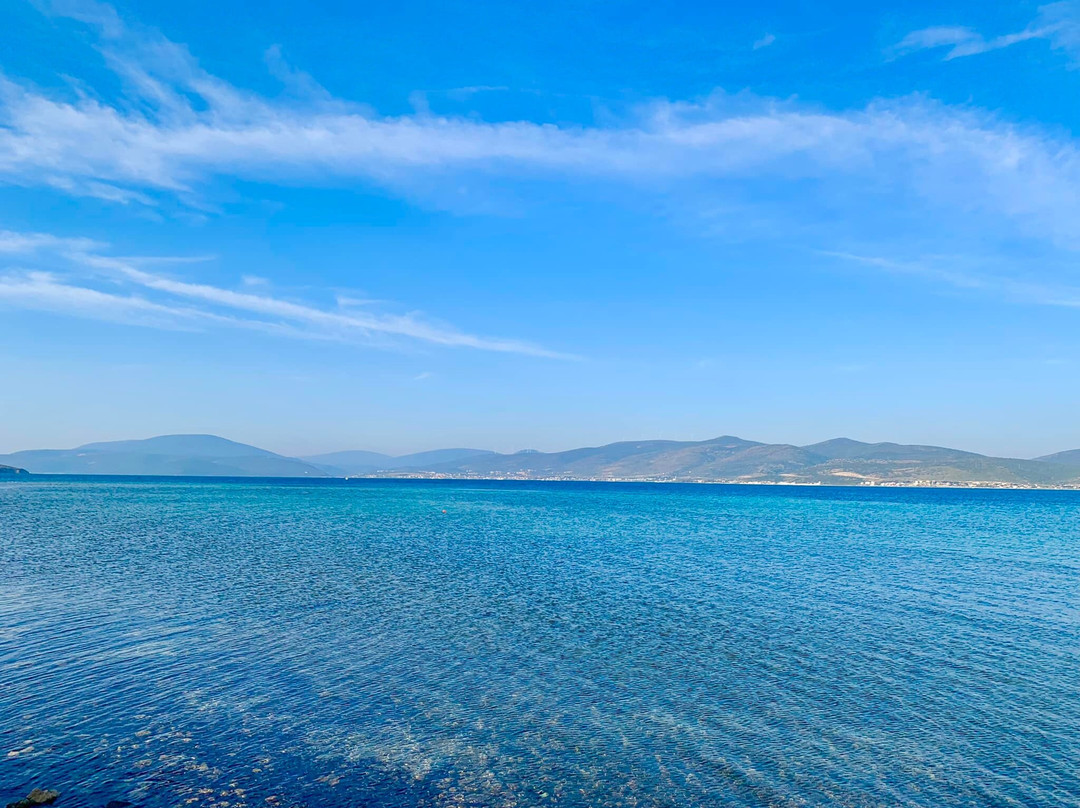 Özbek Akkum Plajı景点图片