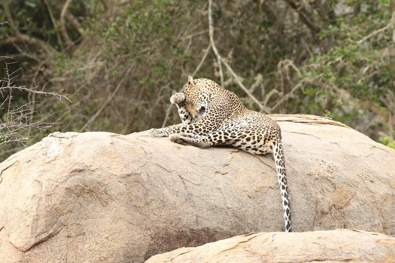 SkyHaven Tours-康提必去景点