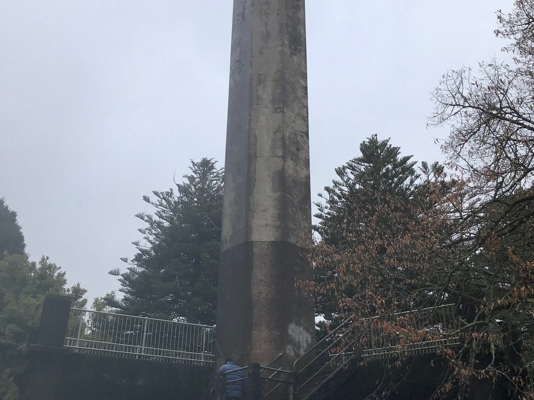 Wombat Hill Pioneer Memorial Tower景点图片
