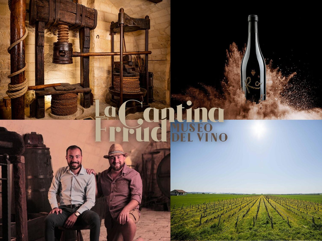 La Cantina Frrud - Museo del Vino景点图片