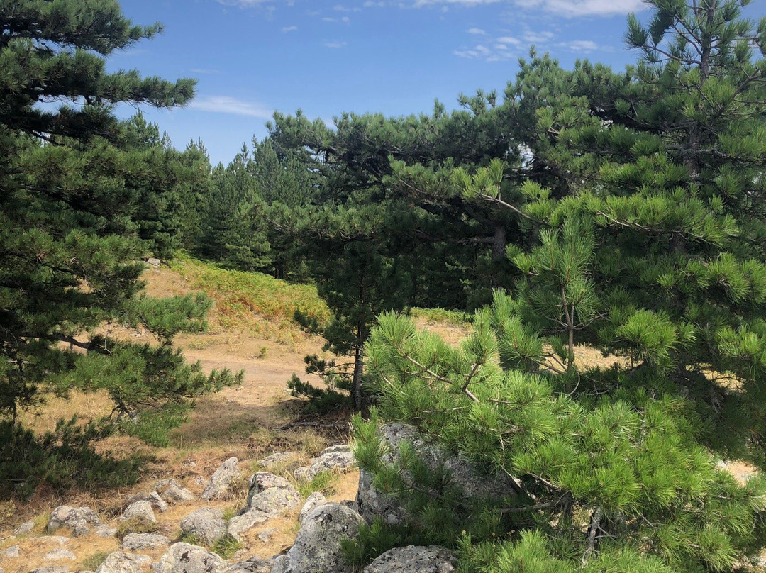 Route de Bavella景点图片