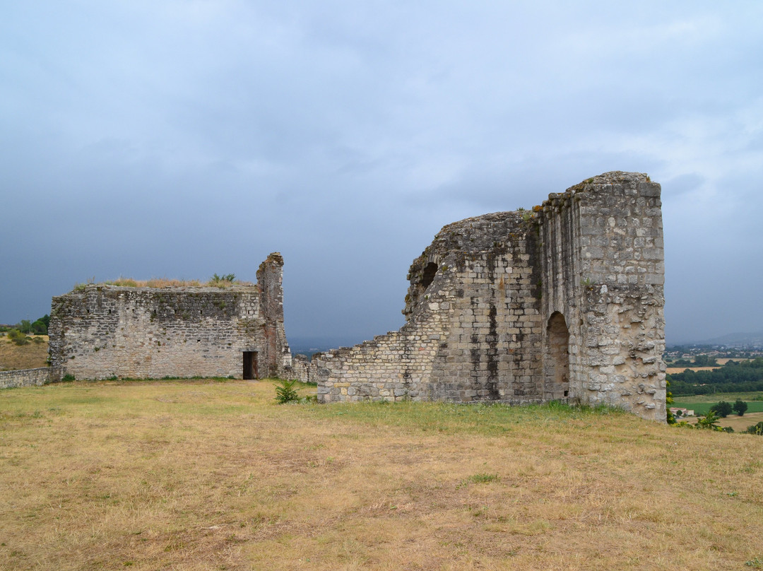Tour château Castelnau de Lèvis景点图片