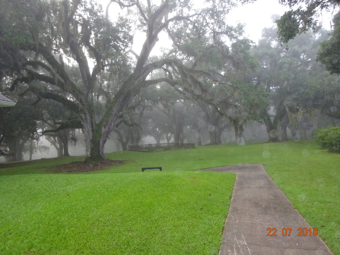 绿木植物园民宿-酒店景观