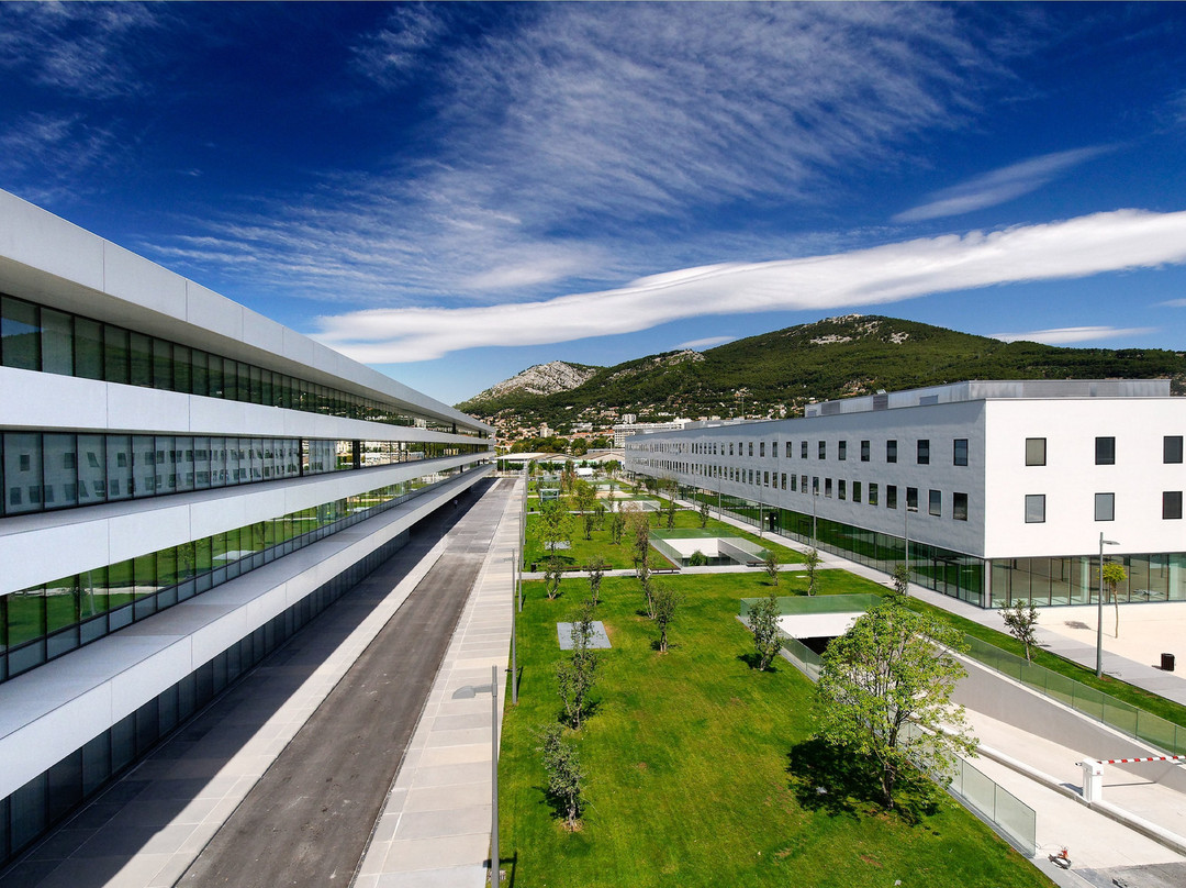Holiday Inn Express Toulon - Estates By IHG主图