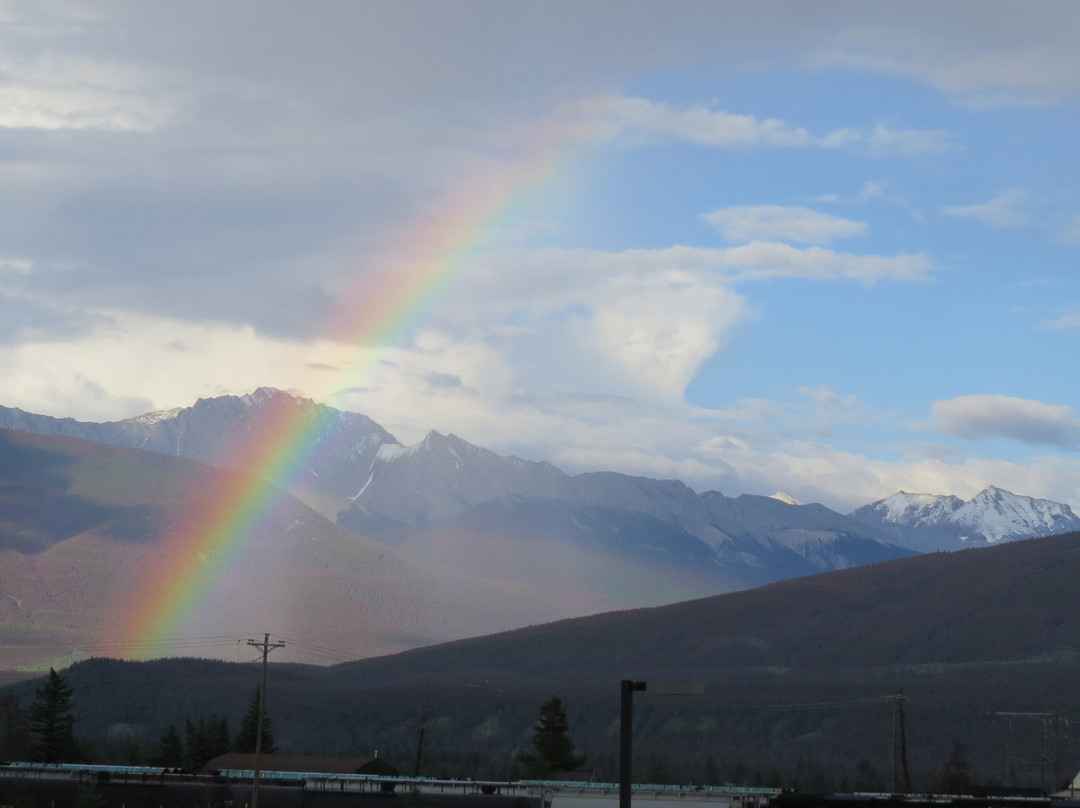 森林公园酒店主图
