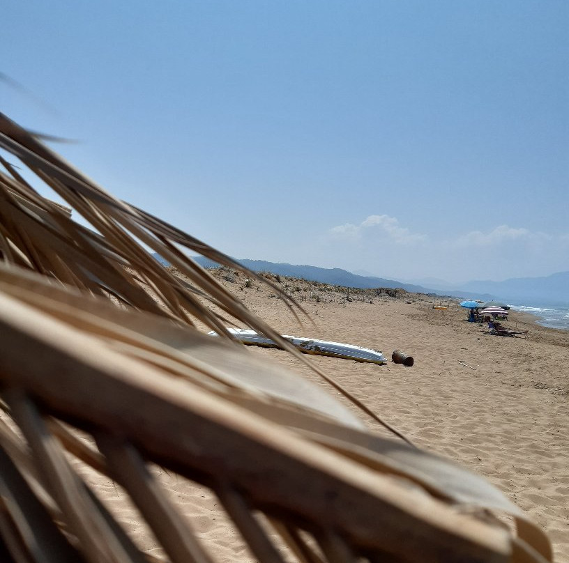 Seagull Beach Bar-Zacharo必去景点