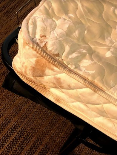 Extended Stay America - Birmingham - Perimeter Park South主图