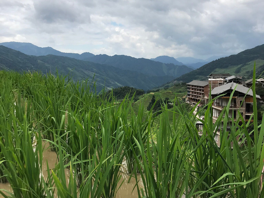 Longji One Day Tours景点图片