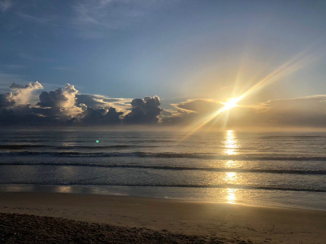Jungle Hut Park-棕榈海岸必去景点