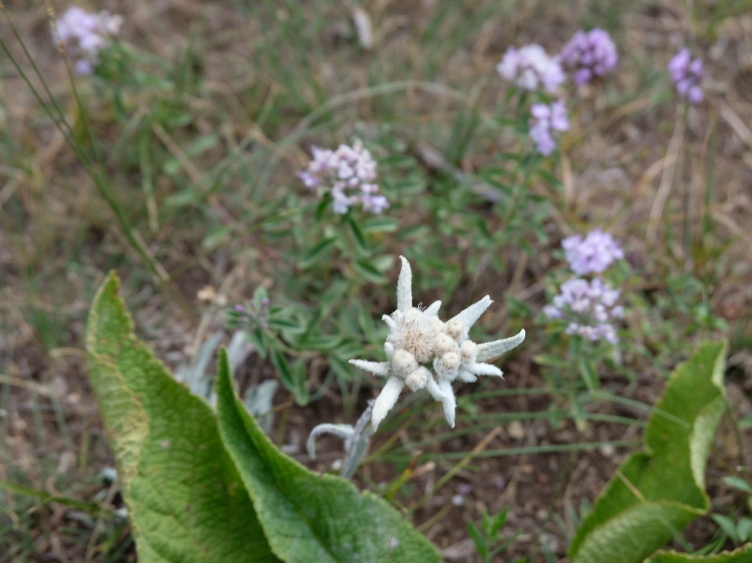 New Way Service-比斯凯克必去景点