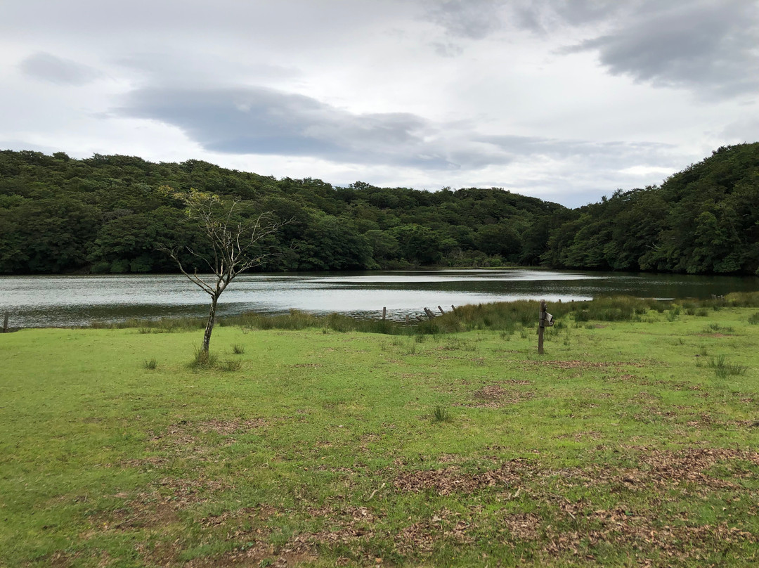 Hatchoike Pond-伊豆市必去景点