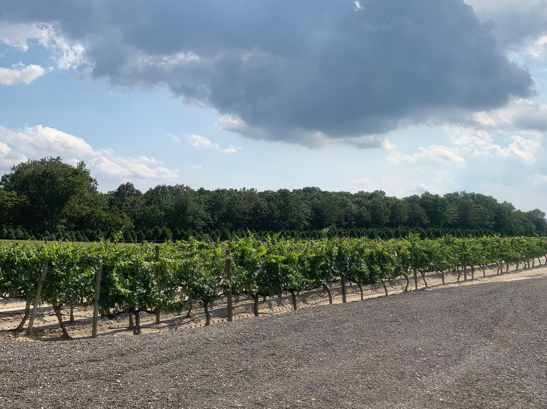 Plagido's Winery-Hammonton必去景点